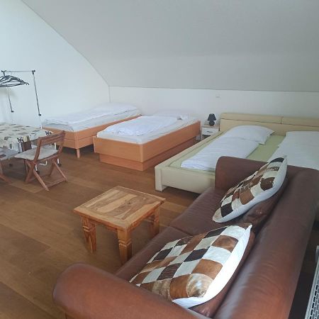In Villa 56 Qm Apartment, 24 H Check-In,Free Parking 汉诺威 外观 照片